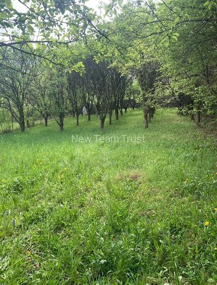 Breaza  Vanzare Vila(Pensiune)+10 camere 199 000eur - 2