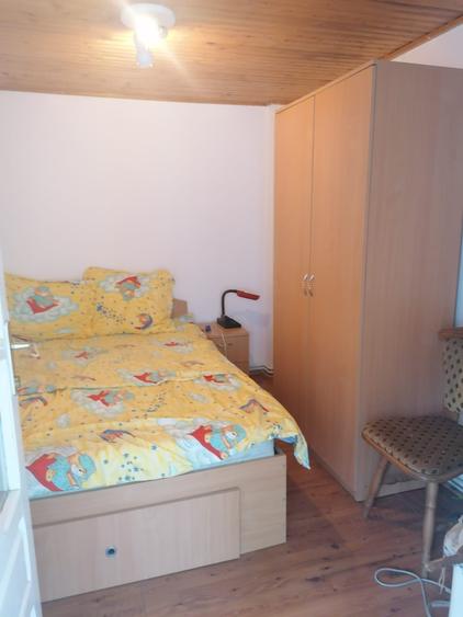 Singureni Stejaru casa intre paduri, cu teren 1600mp