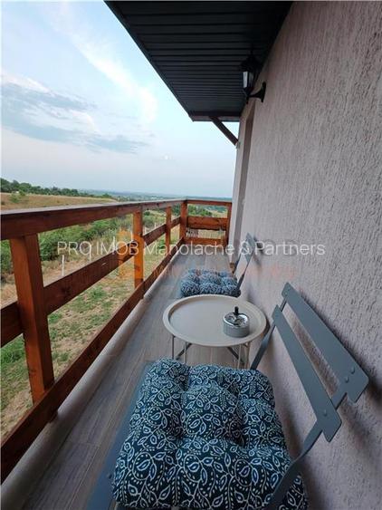 EXCLUSIVITATE! Cabana cu o priveliste unica in Niscov - 22