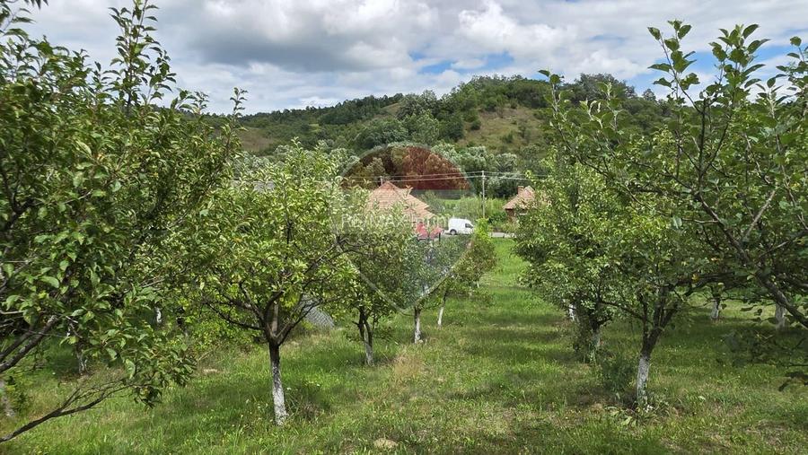 Casă cu teren generos de 2.800 mp la 38 km în satul Elciu - 9