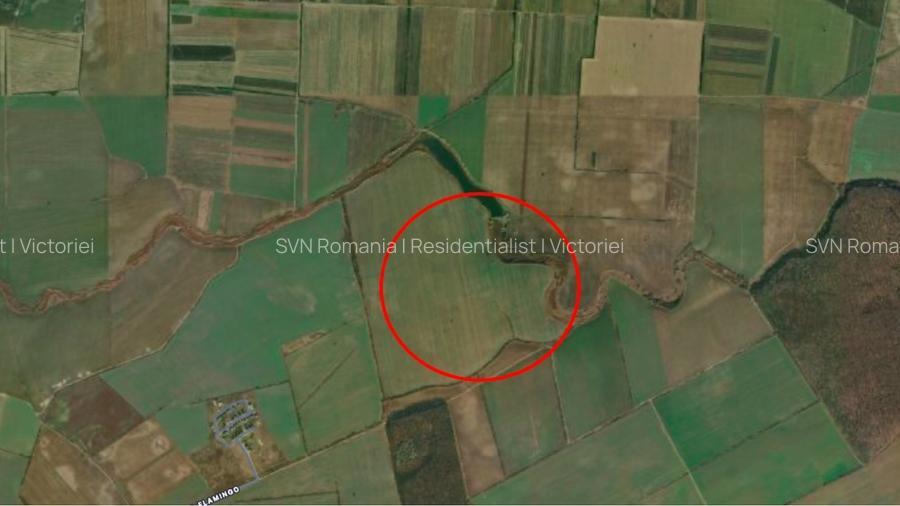 REL4001316 Investitie - Teren extravilan 3 hectare langa Padurea Oracu - 2