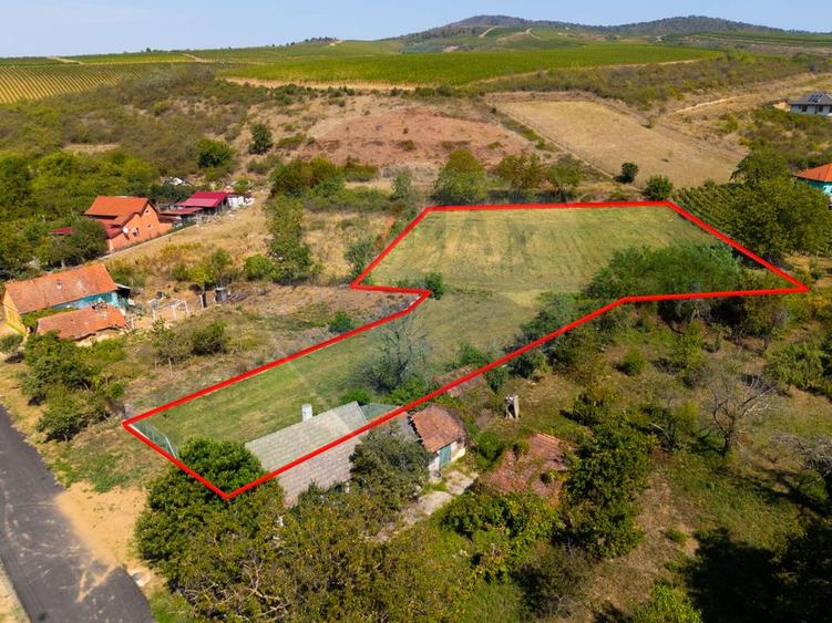 Miniș- destinația ideală pentru o resedință de lux în inima naturii.