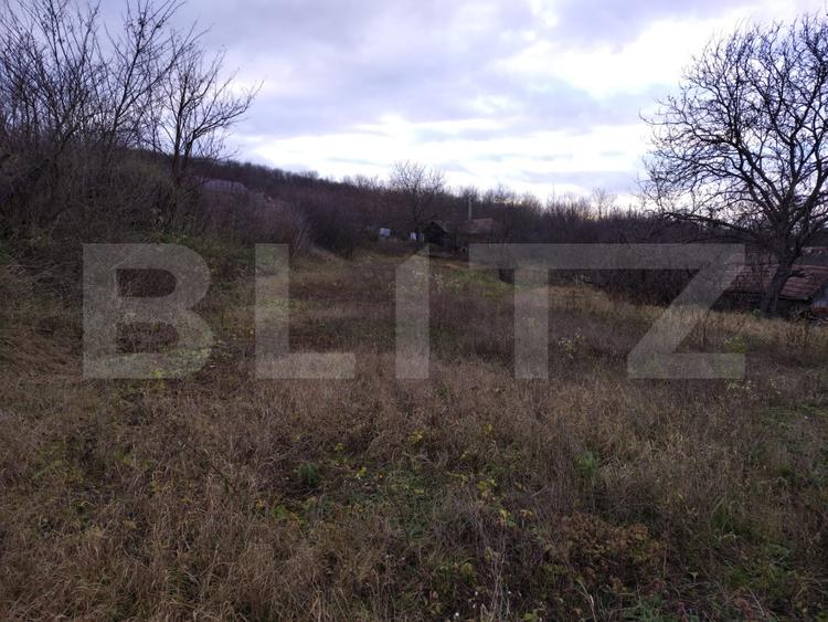 Proprietate cu teren 2460 mp si casa renovabila, Cojocna
