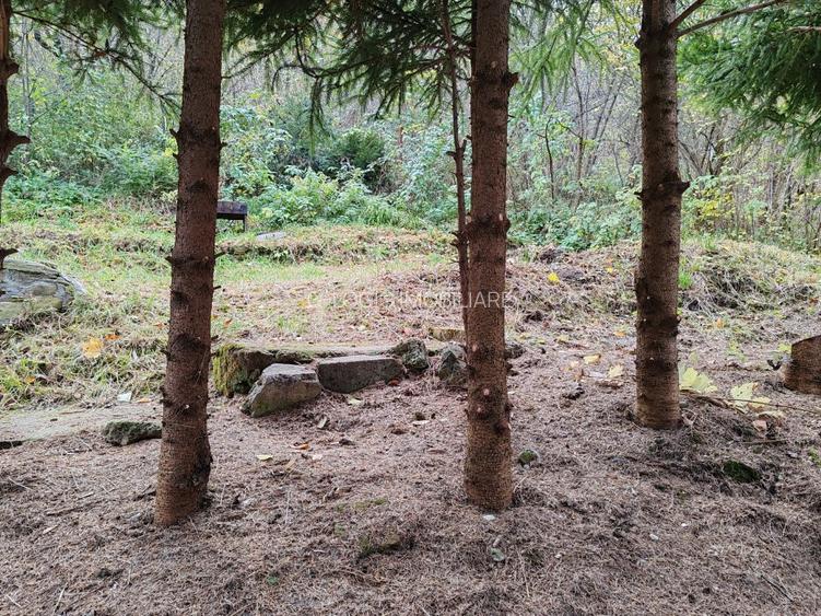 Casa 4 camere libera la vanzare zona Schei - 18