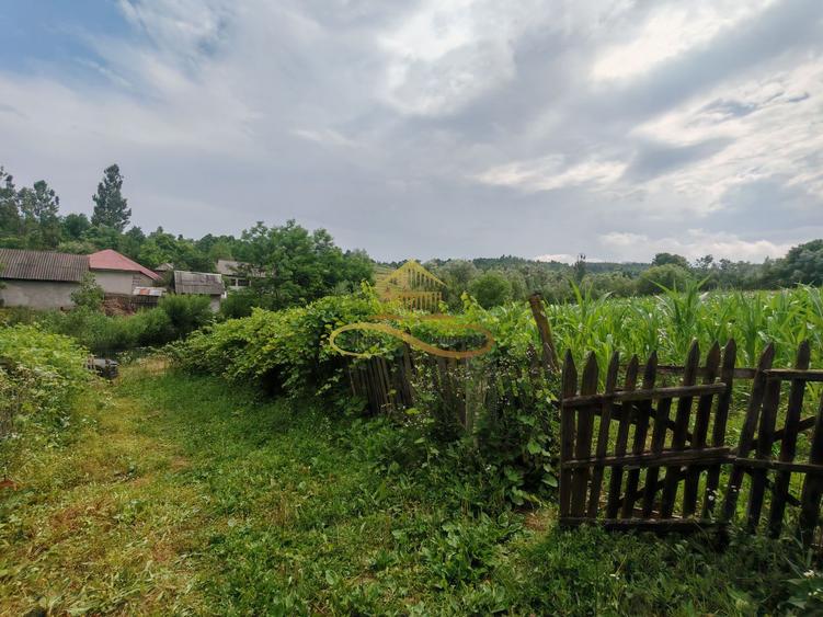 Vând casă bătrânească cu 3300 mp teren in Țârdenii Mari, Blagesti
