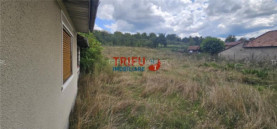 Casa de vanzare in Hapria 4139mp teren - 5