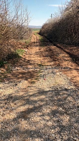 Ieftin, Băicoi-Liliești, vânzare  teren intravilan 7500mp, 4,5 e/mp, neg. - 6
