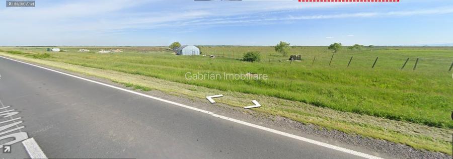 Vindem 10 Ha teren,fosta livadă de afine,Sintea Mare,Arad Oportunitate Unica - 4