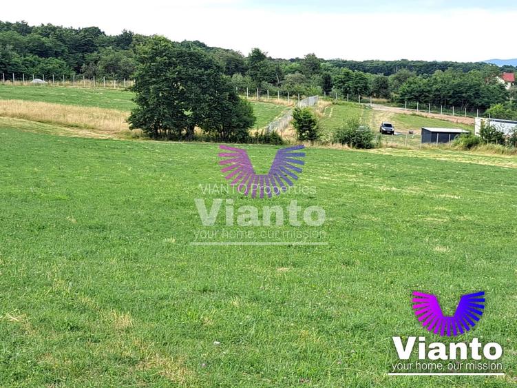 Oportunitate-Teren Extravilan 3100 mp cu vedere Panoramica-Tropinii Noi-Rasinari - 2