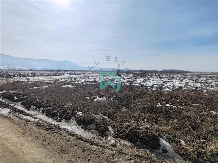 Vanzare teren intravila industrial, 10480 mp, centura Brasov - 3