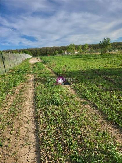 Teren 5600 mp Snagov Lac - 3