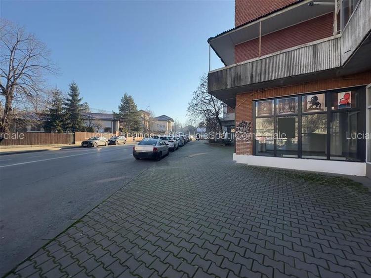 Spatiu comercial, 101mp, semicentru, Podul de Fier Iasi, spre aeroport - 6