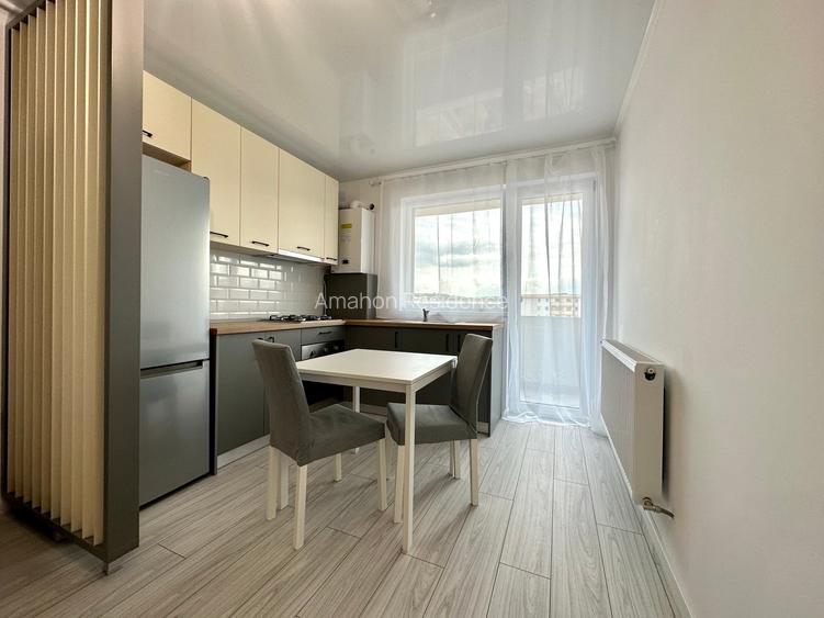 Apartament 2 camere Mobilat Bucium Visan - 4
