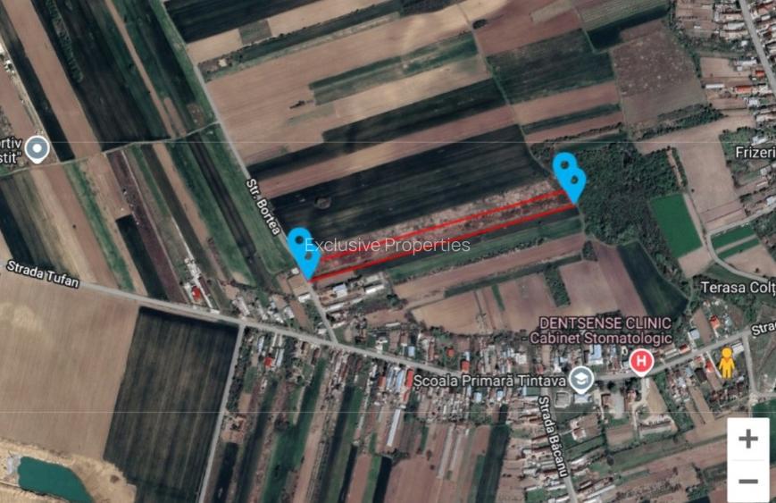 Vand teren in Tintava cu deschidere la PADURE (Gradinari, Giurgiu) - 2