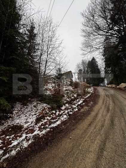 Teren unic, exclusivist  4000 mp, in inima muntilor, Sinaia - 11