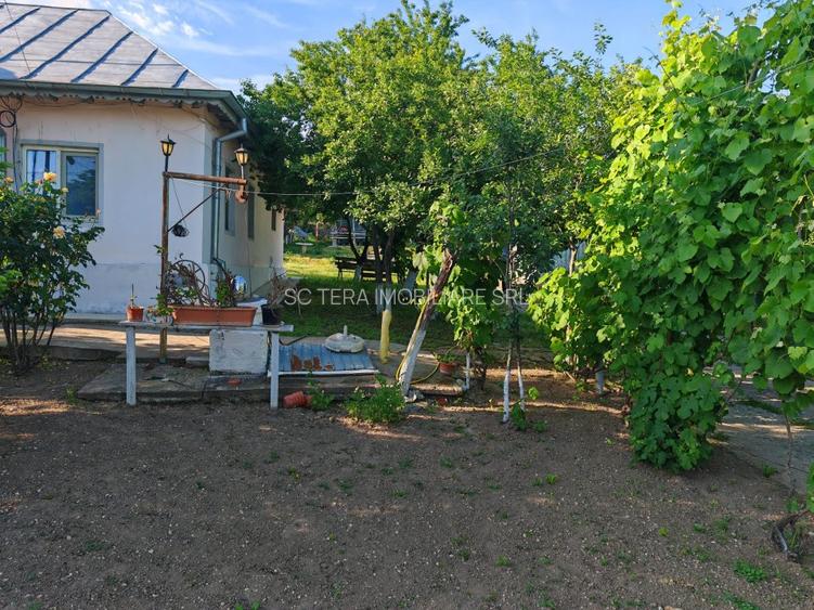 VANZARE CASA INDIVIDUALA - 6