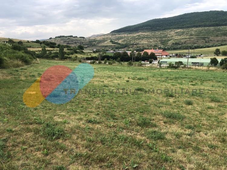 Teren intravilan cu Destinatie Economica, 3000 mp, in Radaia