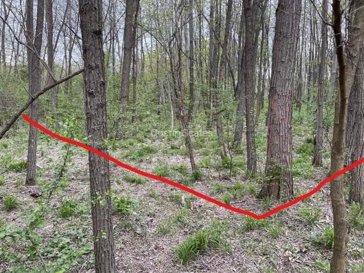 Teren 755 mp, Dem Radulescu, la 7 min de centrul orasului Rm Valcea - 7