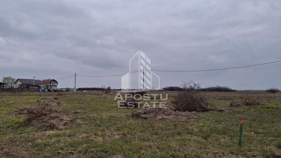 Teren intravilan 500mp Mandruloc