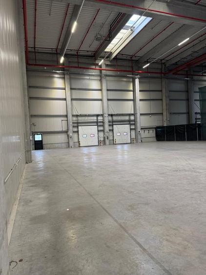Hală suprafețe disponibile 1.000-40.000mp