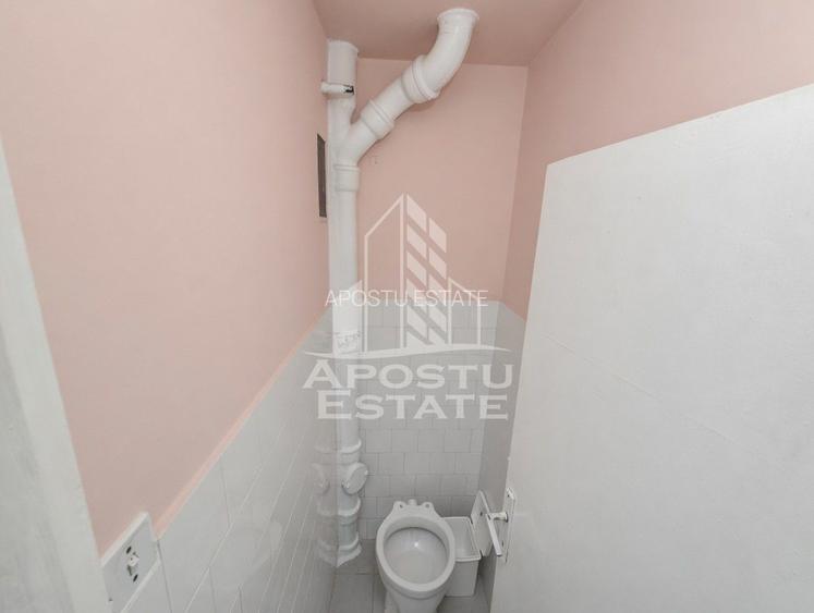 AP. 94MP 4CAM PARTER+GRADINĂ150MP GIARMATA-Timișoara - 4