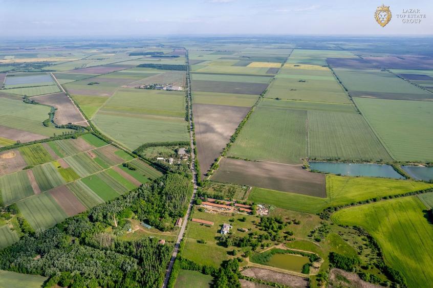 Cladire industriala de vanzare cu potential 3,5 ha in Batania