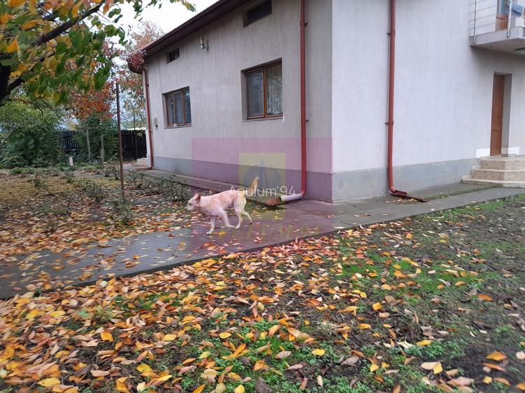 ILFOV - SE VINDE CASA IN ISLAZ / COM. BRANESTI - 36