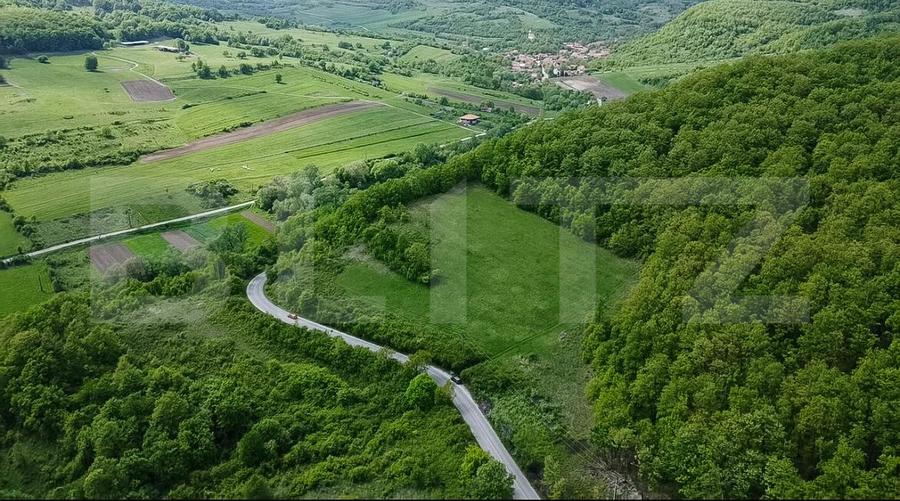 Teren superb, în mijlocul naturii, 18.360 mp, la Cărjiți