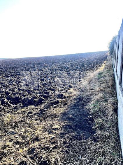 Teren I Suceava I Moara Nica I 2500 Mp I 54.900 Euro - 6