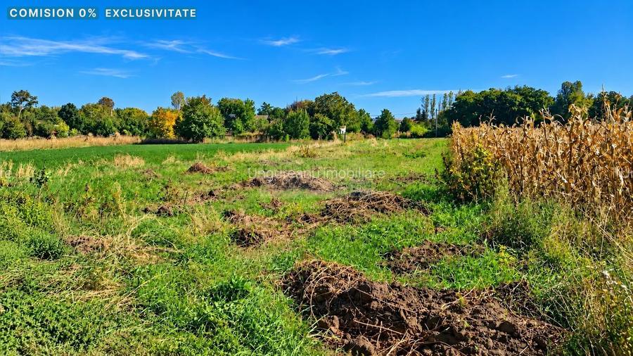 Teren intravilan 1.500 mp, 2 fronturi, Hilișeu-Horia, Botoșani