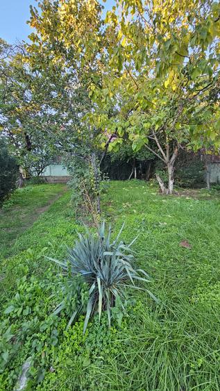 ULTRACENTRAL - teren 514 mp, 2 deschideri - 290000 euro