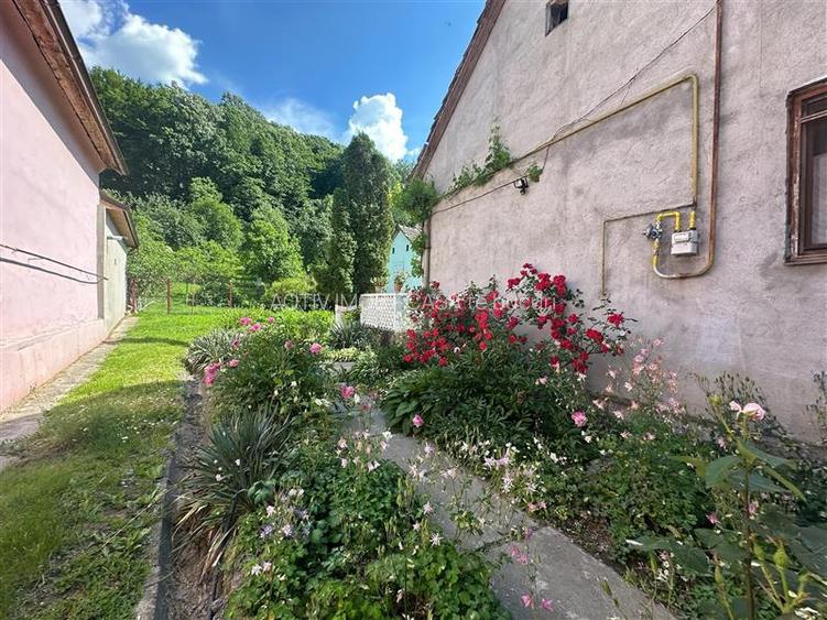 Bocsa Montana, Casa mare la strada principala - 27