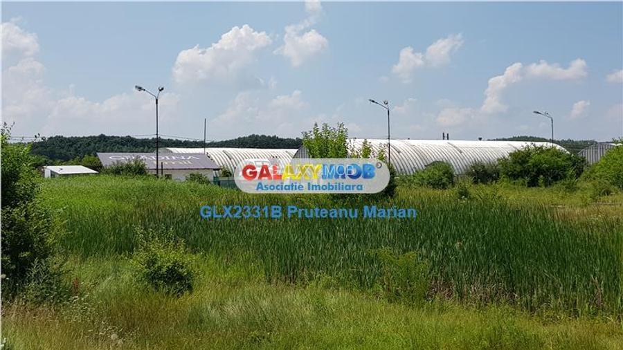 Vanzare lot teren de 8300 mp foarte aproape de Therme Balotesti-Otopen - 4