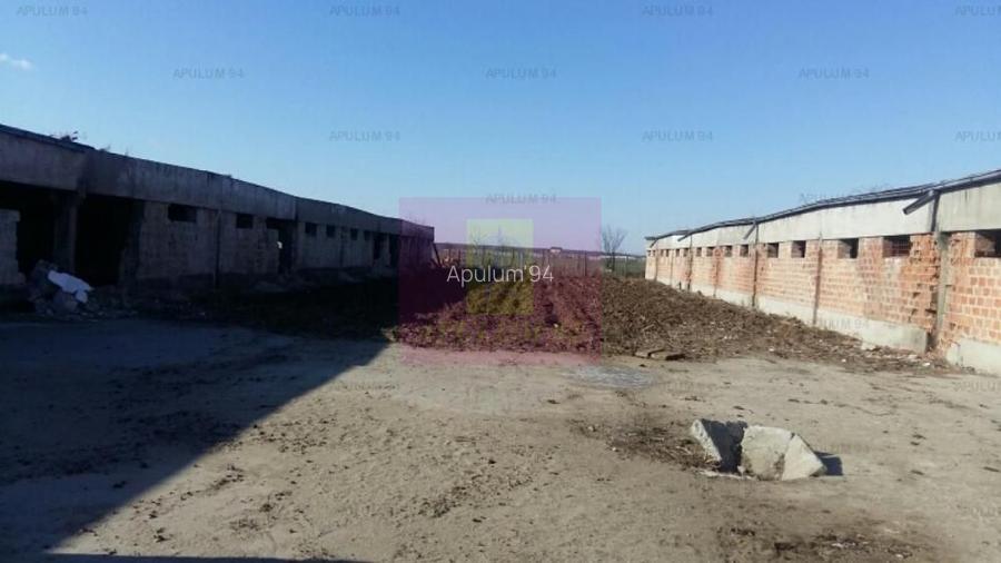 Teren Balotesti- Saftica- ideal pentru constructie locuinte.