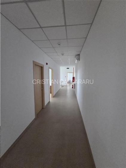 Vanzare depozit/hala/spatiu industrial Otopeni - Centura, Ilfov - 31