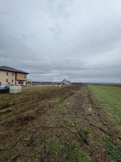 Teren Mocira 50 ari | Plan drept | Utilități aproape | Zonă în dezvoltare - 3