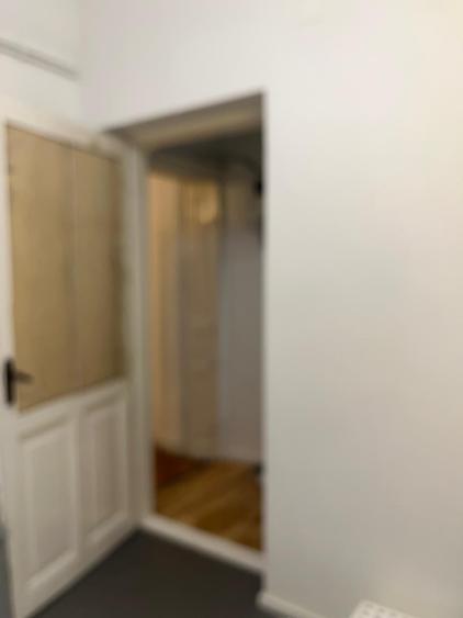 Apartament 3 camere Pache protopopescu | Vila boema