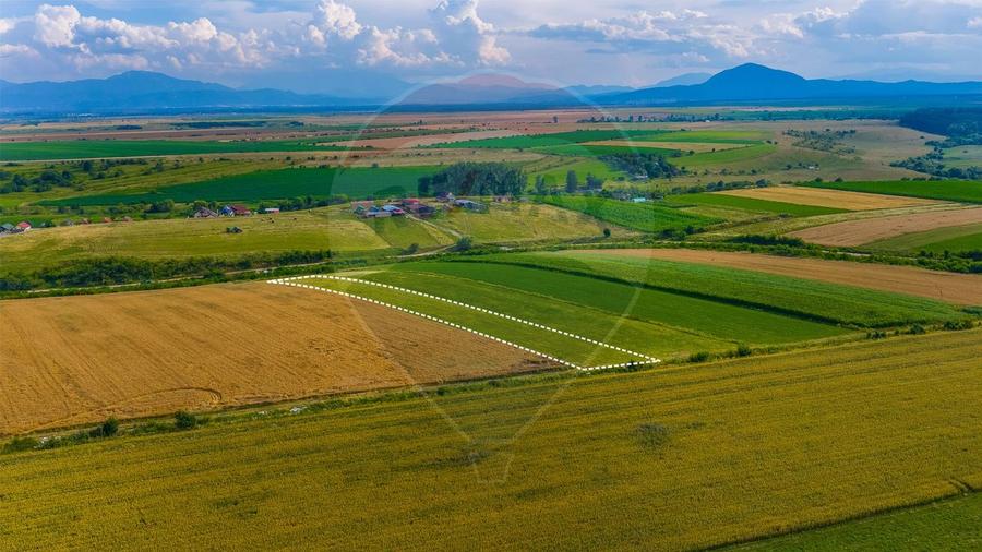 Oportunitate pentru fermieri: 10.800 mp teren arabil în Rotbav, Brașov
