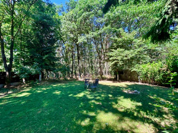 Casa Vermont, cu Padure Privata, Paradisul Verde, teren 1800mp, gradina matura - 10