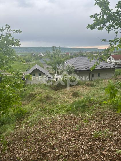 TEREN PREMIUM CU VEDERE SPECTACULOASA LA LIZIERA PADURII | BASCOV | 807 MP | - 5