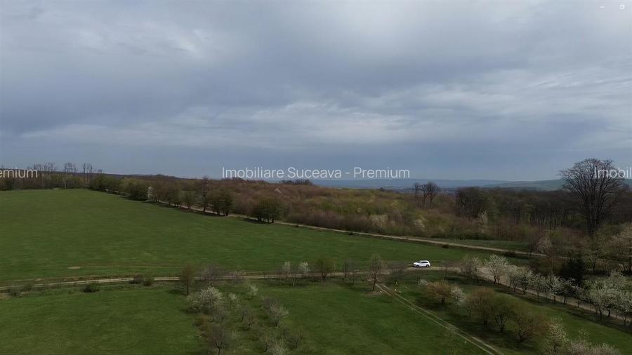 Teren intravilan de vânzare în Mitocu Dragomirnei | 5.800 mp | 43 m de - 7