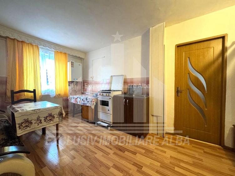 Apartament cu 2 camere | De vanzare | 50 mp | Cetate - zona Piata - 3