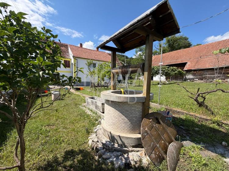 Casa individuala cu teren generos – 8.356 mp – Tichindeal, jud. Sibiu - 4