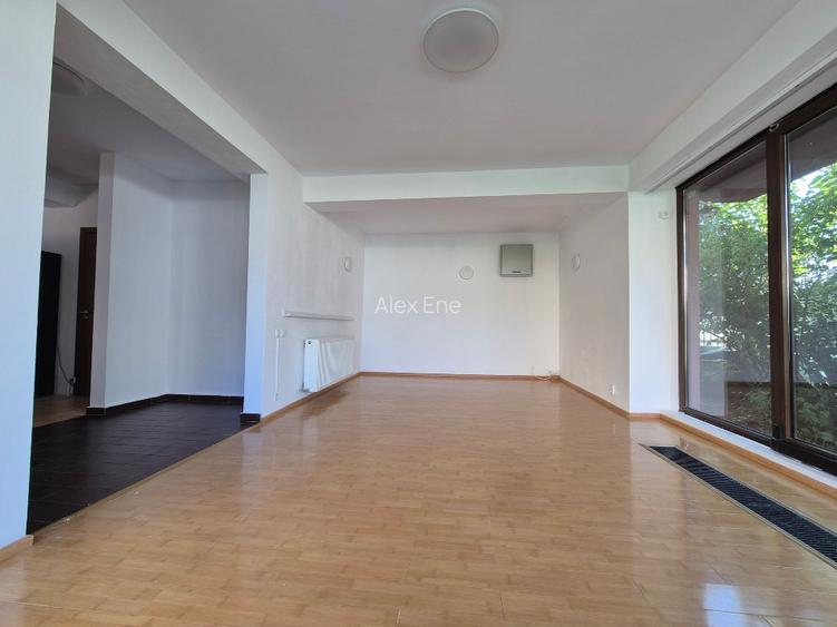 Vila Happy Kitty Pet Friendly 4 Camere Bucatarie stil American 200mp Curte - 5