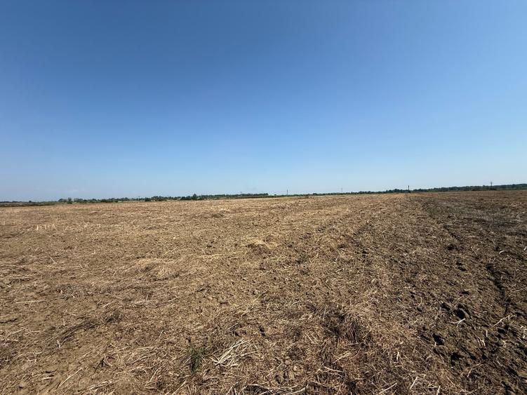 Vand teren autostrada Bucurest Pitesti A1 30000 mp (3ha) cu deschidere la A1
