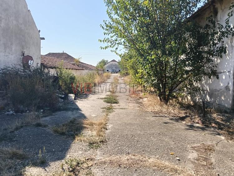 OPORTUNITATE DE INVESTIȚIE – PISCHIA, JUDEȚUL TIMIȘ - 9