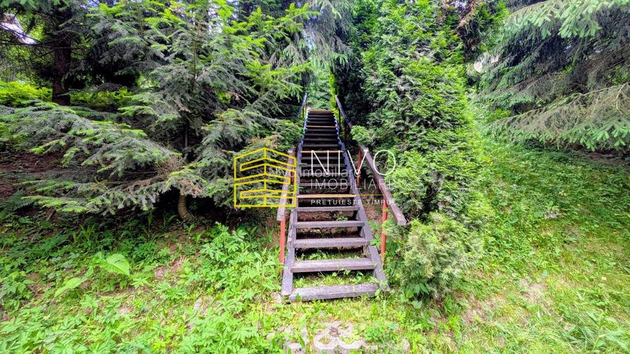 Cabană – Mureș – Sălard – Zona Pensiunea Denisa - 19