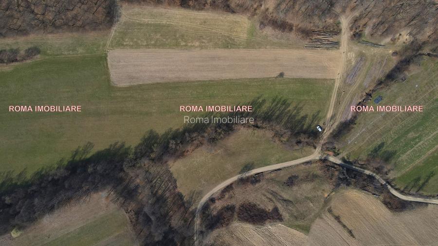 Teren superb de vânzare în Dumbrăvița – 3.750 mp - 10