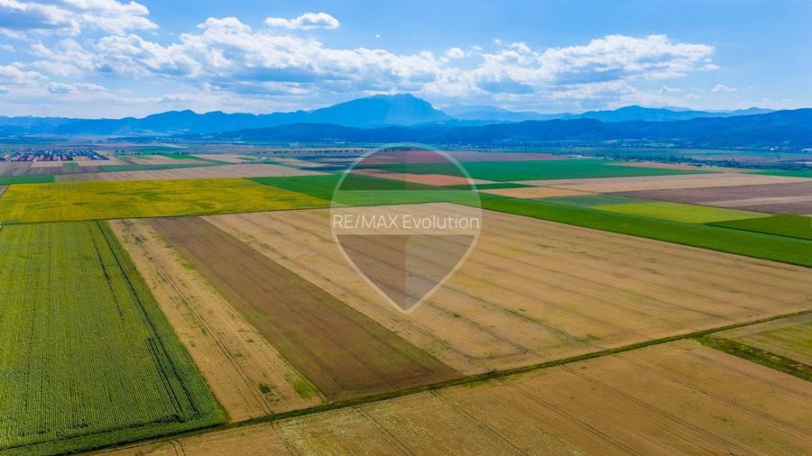 Comision 0% | Teren extravilan agricol 20.000 mp | Cristian, Brașov - 5