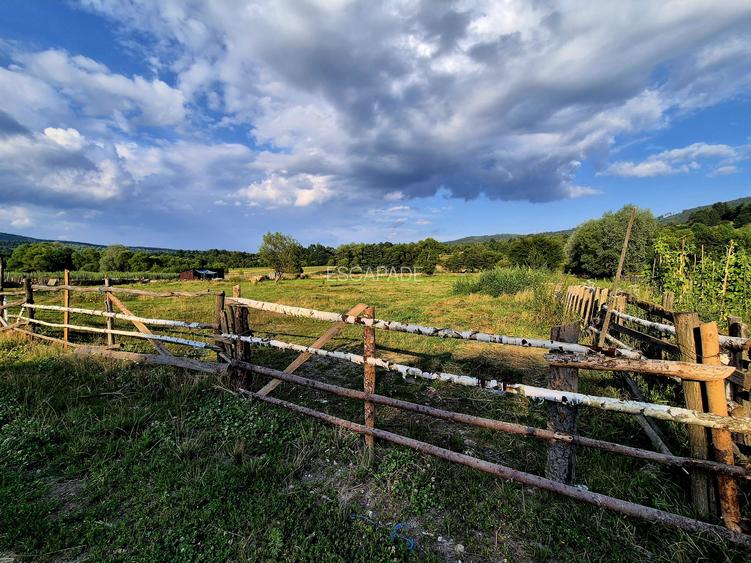 Investitie teren generos 3021 m limita intravilan, Via Transilvanica, Sinca Noua - 8